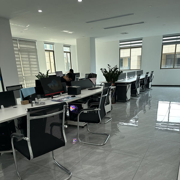 중국 Shenzhen Dingsheng Plasticization Co., Ltd. 회사 프로필