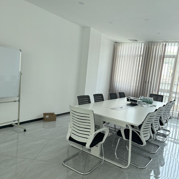 중국 Shenzhen Dingsheng Plasticization Co., Ltd. 회사 프로필