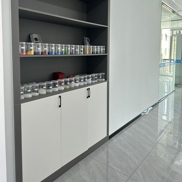 중국 Shenzhen Dingsheng Plasticization Co., Ltd. 회사 프로필
